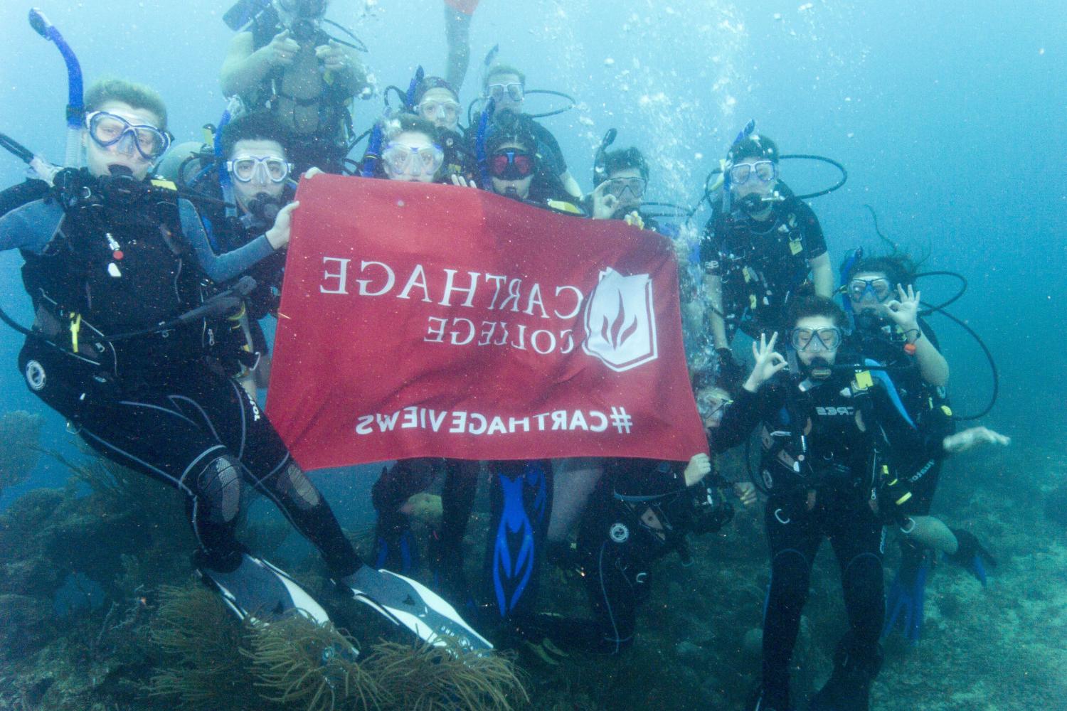 学生们手持<a href='http://poff.ngskmc-eis.net'>博彩网址大全</a>旗帜，在j学期洪都拉斯游学之旅中潜水.